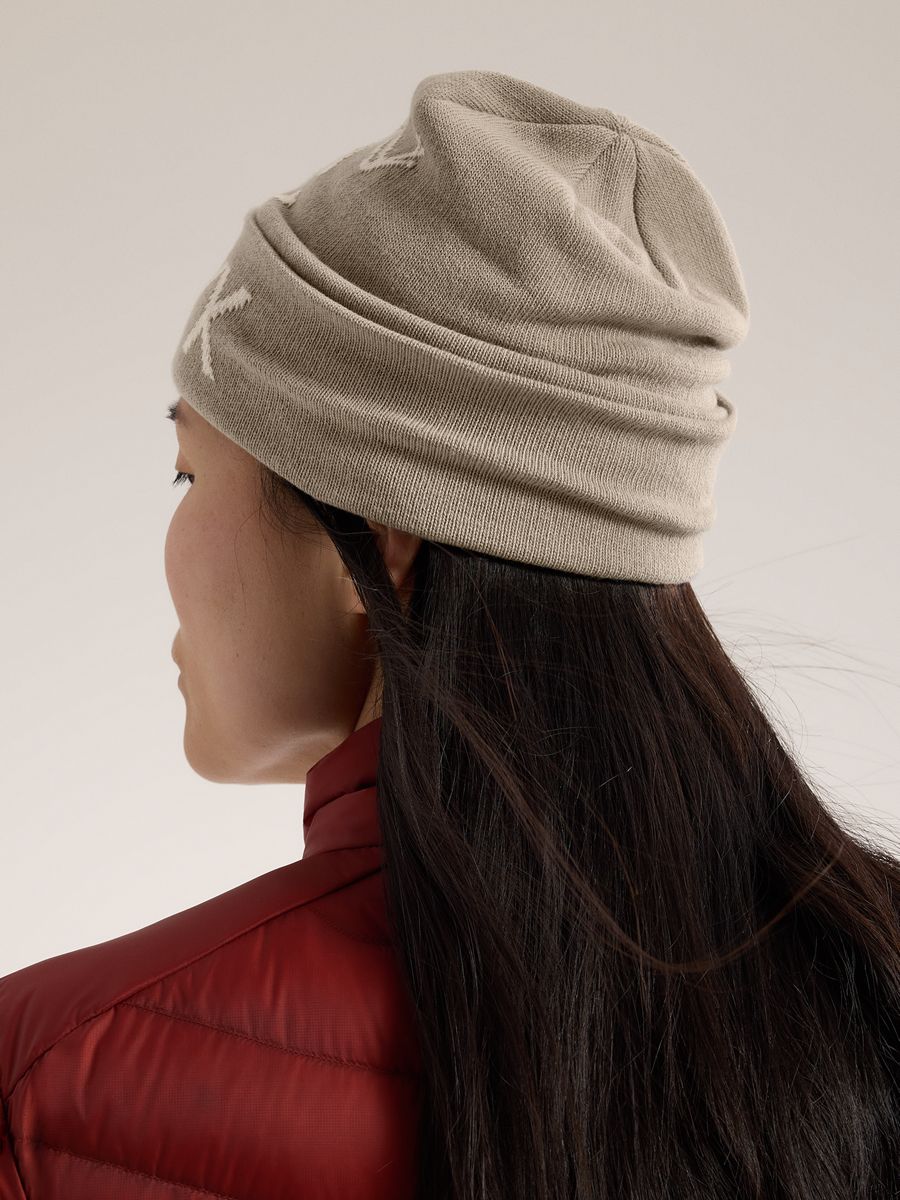 Arc'teryx Bird Word Toque Rune / Arctic Silk | Fjellsport.no